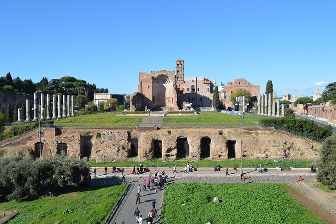 Small Group Colosseum, Roman Forum and Palatine Hill Guided Tour - Group size, guides, and why the audio can matter