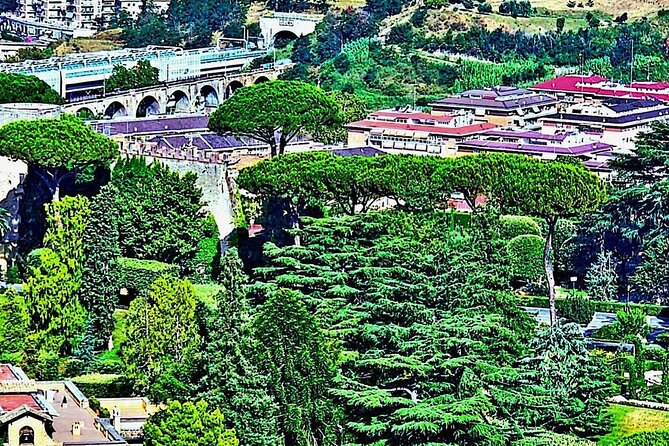 St. Peter's Basilica and Papal Grottoes Guided Tour - Should you book this St. Peter’s and Grottoes tour?