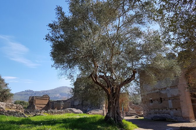 Tivoli Villas Full Day Trip From Rome with Lunch - Who Should Book This Tivoli Villas Trip