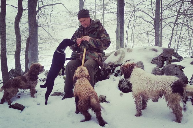 Truffle hunting near Rome with 7-course lunch - The Real Flow of Your 6.5 Hour Day