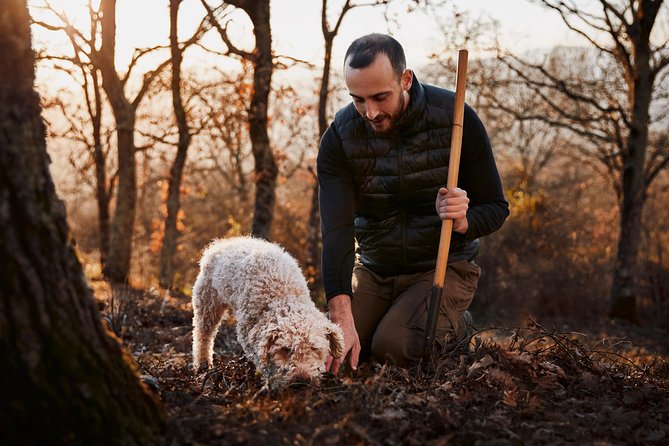 Truffle hunting near Rome with 7-course lunch - Small Group Energy With a Real Host