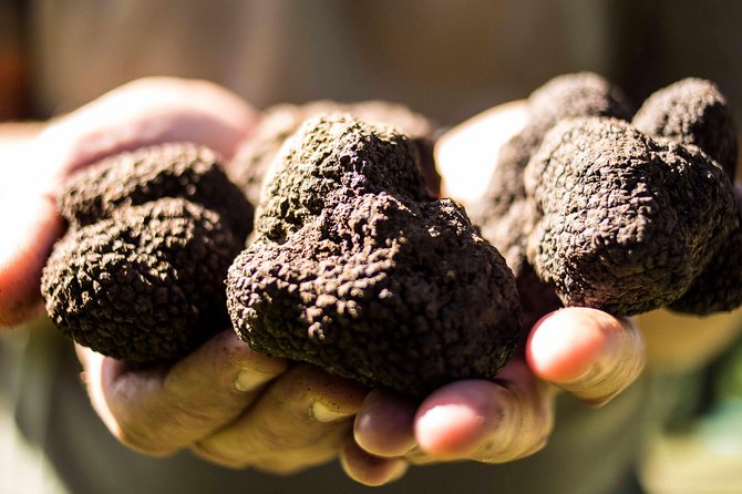 Truffle hunting near Rome with 7-course lunch - The Menu Breakdown: How Truffle Shows Up in Different Styles