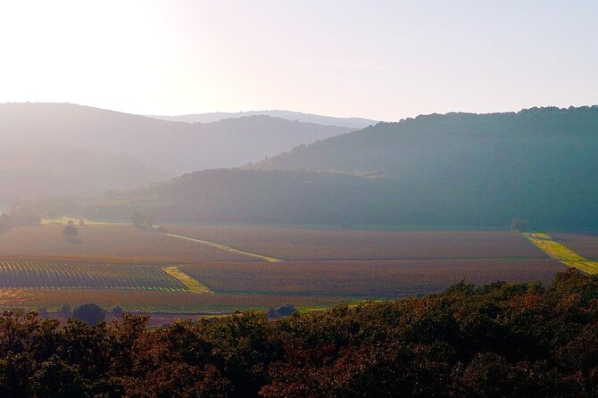 Tuscany & Pitigliano Day Tour from Rome with Wine Tasting & Lunch - Back to Rome: finishing in comfort after a full 12 hours