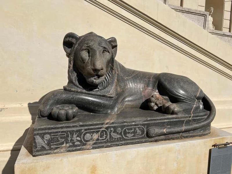 Vatican Museums & Sistine Chapel Tour with Optional Basilica - What the Live English Guides Do That Matters Most