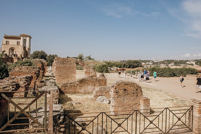 VIP Colosseum, Roman Forum & Palatine Hill & Special Access Sites - What your guide actually does (and why it changes everything)