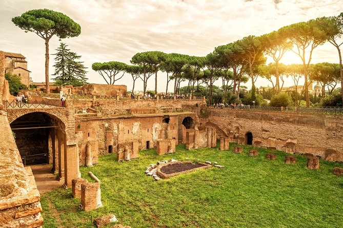 VIP Colosseum & Roman Forum Small Group Guided Tour - Roman Forum in 45 minutes: the “how society worked” stop