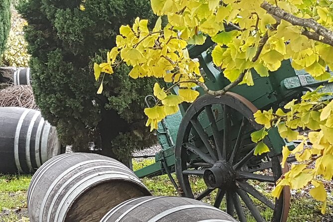 Wine Tasting in Frascati from Rome - Price and value: what $209.98 really buys